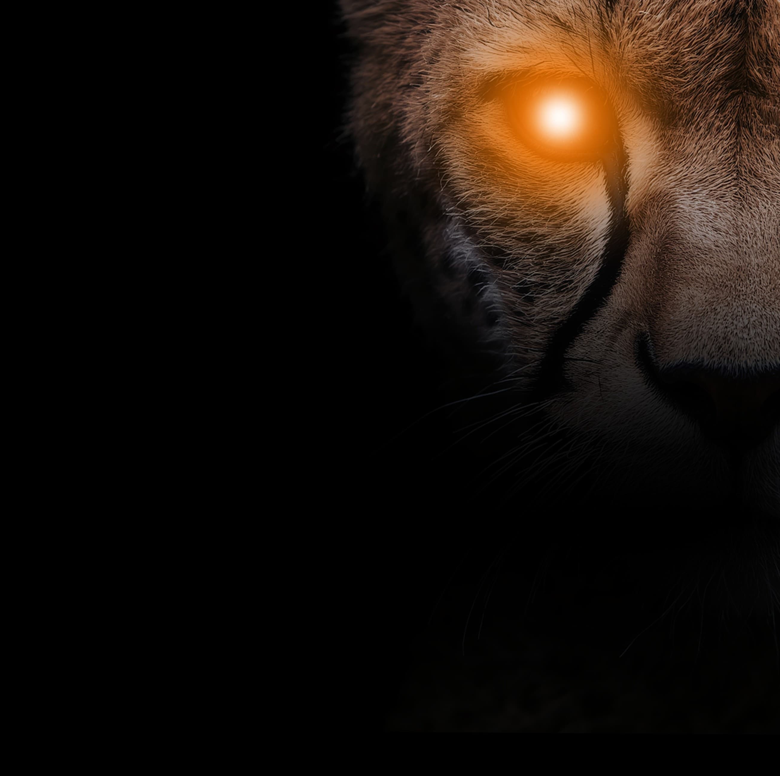 Banner background